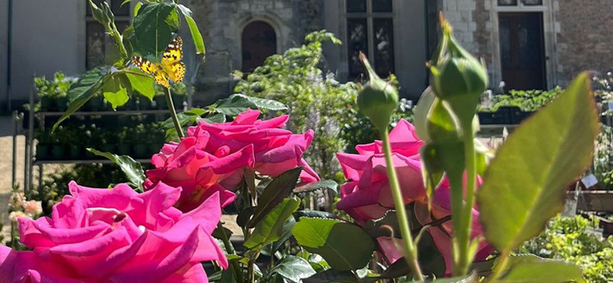 Fête des ouches et des jardins